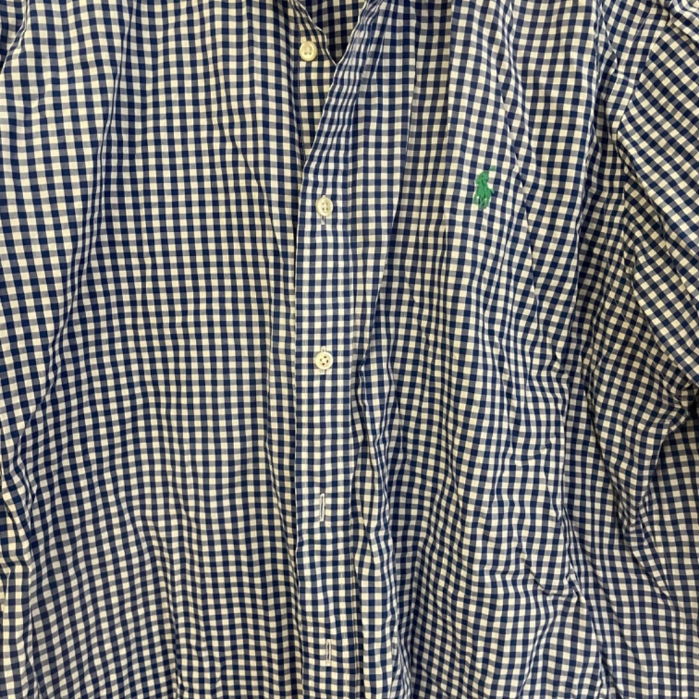 Polo Blue Check Button Down